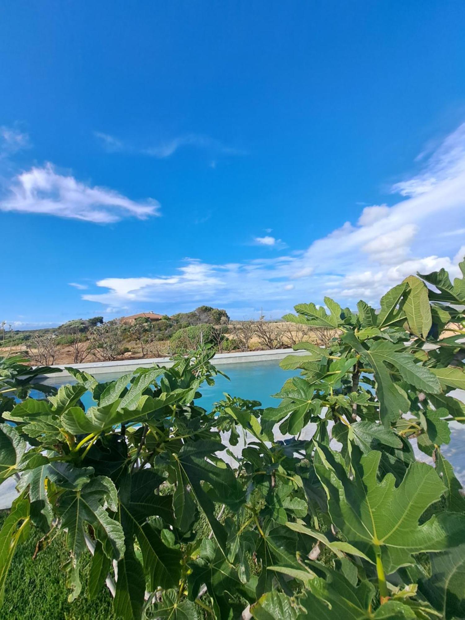Agriturismo Lu Nodu Greuli Εξωτερικό φωτογραφία